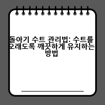돌아기 수트 관리법: 수트를 오래도록 깨끗하게 유지하는 방법