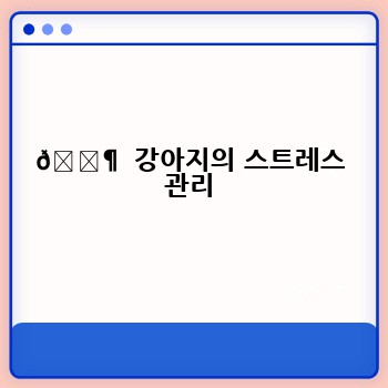 🐶  강아지의 스트레스 관리