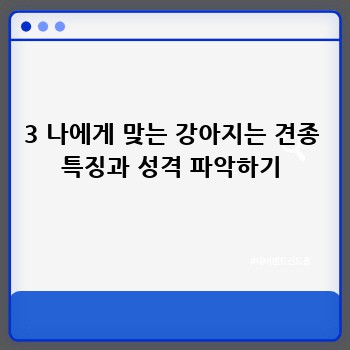 3 나에게 맞는 강아지는 견종 특징과 성격 파악하기