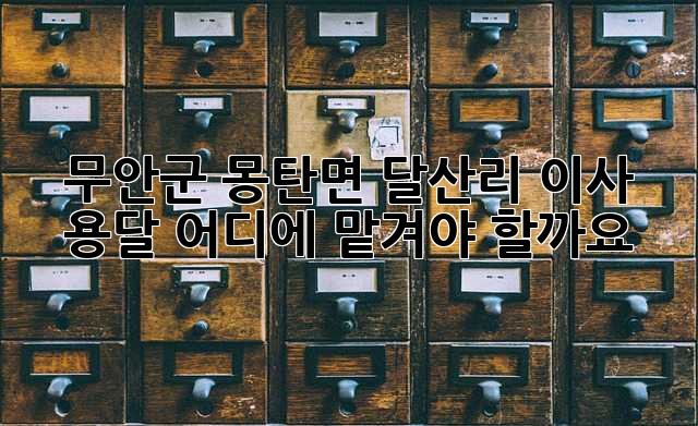 무안군 몽탄면 달산리 이사 용달, 어디에 맡겨야 할까요?
