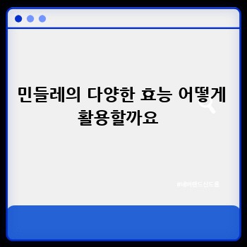 민들레의 다양한 효능 어떻게 활용할까요 