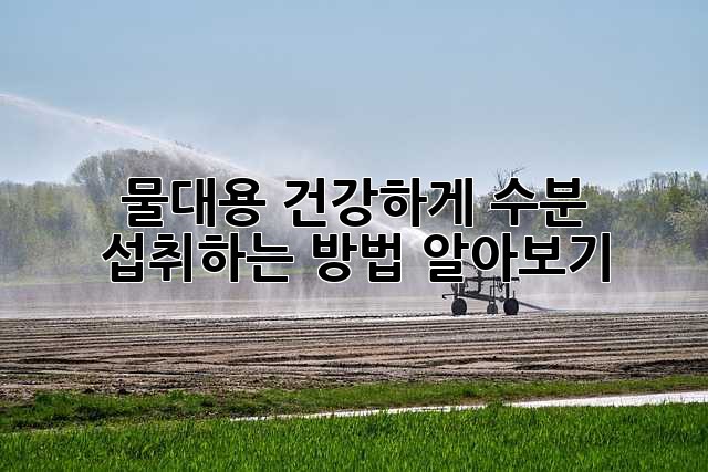 물대용? 건강하게 수분 섭취하는 방법 알아보기!