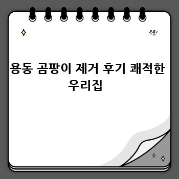 용동 곰팡이 제거 후기 쾌적한 우리집 