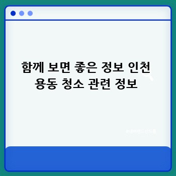 함께 보면 좋은 정보 인천 용동 청소 관련 정보