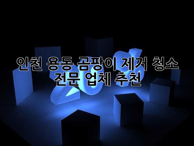 인천 용동 곰팡이 제거 청소 전문 업체 추천