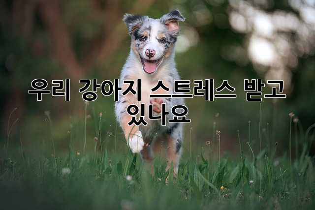 우리 강아지, 스트레스 받고 있나요?😥