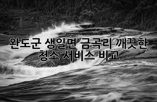 완도군 생일면 금곡리 깨끗한 청소 서비스 비교