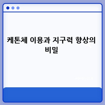케톤체 이용과 지구력 향상의 비밀