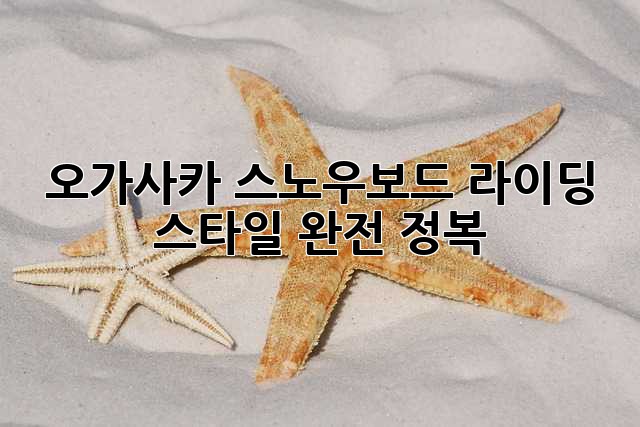 오가사카 스노우보드: 라이딩 스타일 완전 정복!
