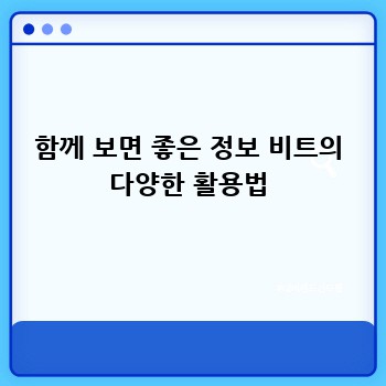 함께 보면 좋은 정보 비트의 다양한 활용법