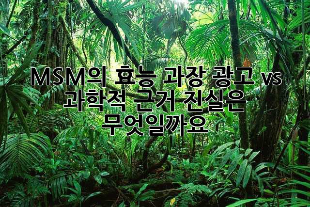 MSM의 효능: 과장 광고 vs. 과학적 근거, 진실은 무엇일까요?