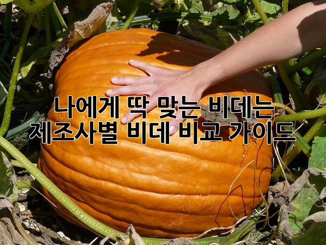 나에게 딱 맞는 비데는? 제조사별 비데 비교 가이드