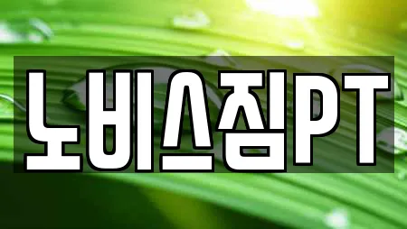 노비스짐PT