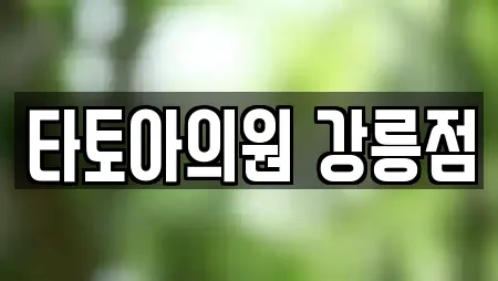 타토아의원 강릉점