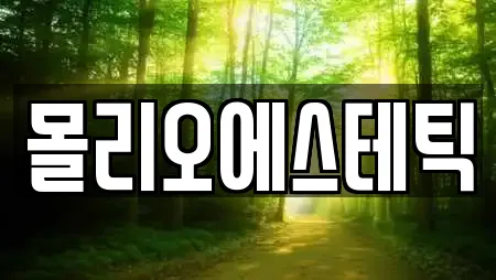 몰리오에스테틱