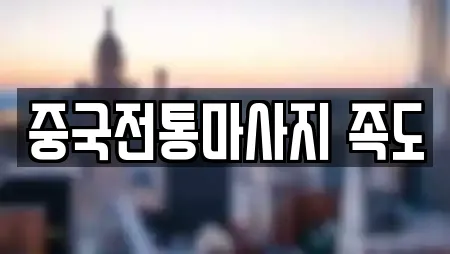 중국전통마사지 족도