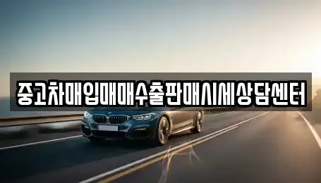 장기렌트카 업체 확인 6건 (전남 나주 석현동)