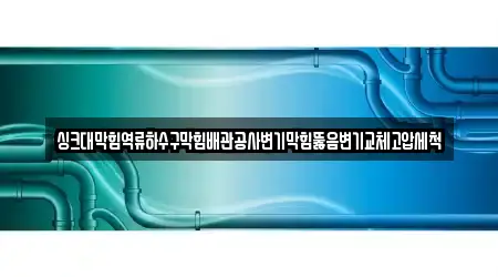 싱크대막힘역류하수구막힘배관공사변기막힘뚫음변기교체고압세척