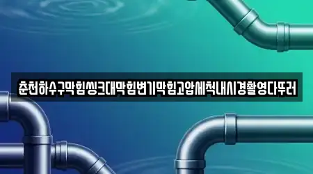 춘천하수구막힘씽크대막힘변기막힘고압세척내시경촬영다뚜러