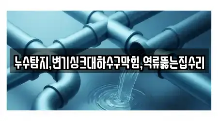 누수탐지,변기싱크대하수구막힘,역류뚫는집수리