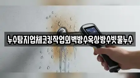 누수탐지업체코킹작업외벽방수옥상방수빗물누수