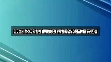 김포설비하수구막힘변기막힘싱크대막힘뚫음누수탐지역류뚜러드림