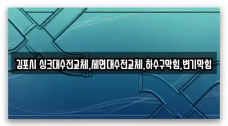 김포시 싱크대수전교체,세면대수전교체,하수구막힘,변기막힘