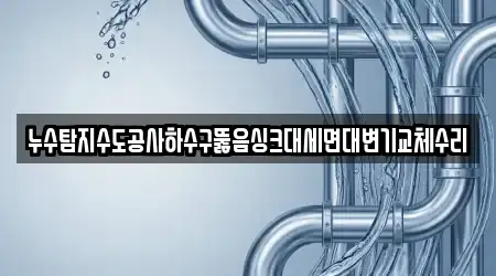 누수탐지수도공사하수구뚫음싱크대세면대변기교체수리