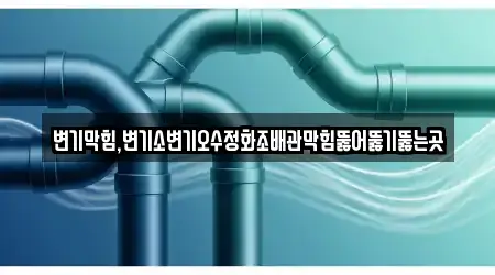 변기막힘,변기소변기오수정화조배관막힘뚫어뚫기뚫는곳