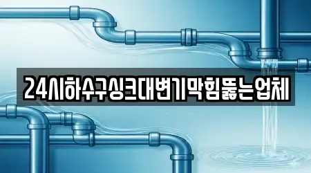 24시하수구싱크대변기막힘뚫는업체