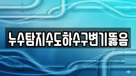 누수탐지수도하수구변기뚫음