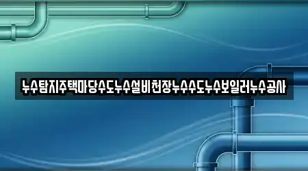 누수탐지주택마당수도누수설비천장누수수도누수보일러누수공사