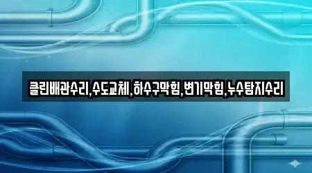 클린배관수리,수도교체,하수구막힘,변기막힘,누수탐지수리