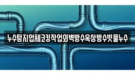누수탐지업체코킹작업외벽방수옥상방수빗물누수