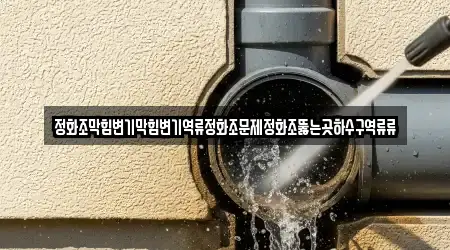 정화조막힘변기막힘변기역류정화조문제정화조뚫는곳하수구역류류