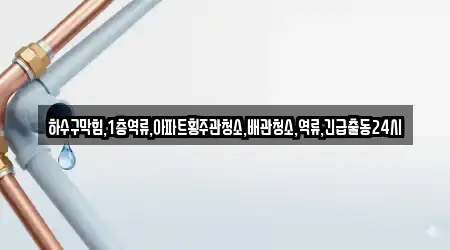 하수구막힘,1층역류,아파트횡주관청소,배관청소,역류,긴급출동24시