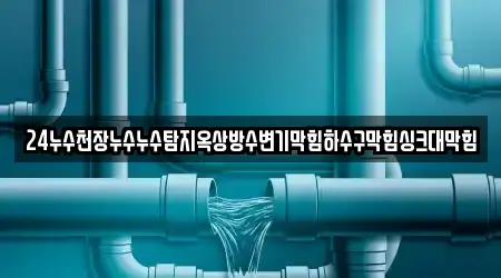 24누수천장누수누수탐지옥상방수변기막힘하수구막힘싱크대막힘