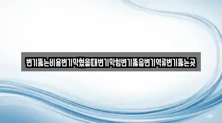 변기뚫는비용변기막혔을때변기막힘변기뚫음변기역류변기뚫는곳