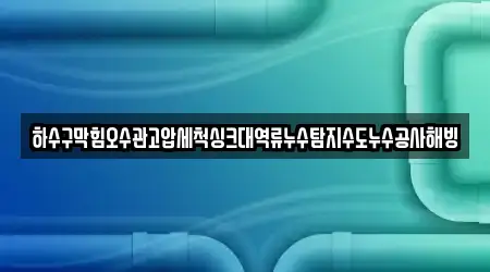 하수구막힘오수관고압세척싱크대역류누수탐지수도누수공사해빙