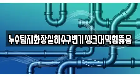 누수탐지화장실하수구변기씽크대막힘뚫음