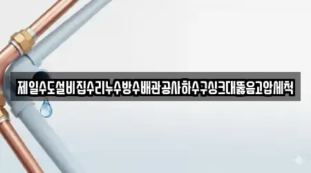 제일수도설비집수리누수방수배관공사하수구싱크대뚫음고압세척