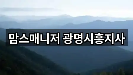 맘스매니저 광명시흥지사