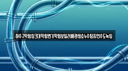 하수구막힘싱크대막힘변기막힘보일러배관청소누수탐지언수도녹임