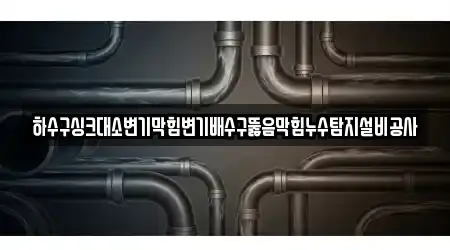 하수구싱크대소변기막힘변기배수구뚫음막힘누수탐지설비공사