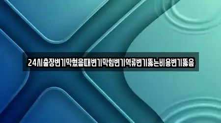 24시출장변기막혔을때변기막힘변기역류변기뚫는비용변기뚫음