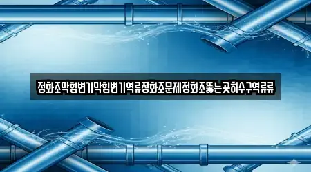 정화조막힘변기막힘변기역류정화조문제정화조뚫는곳하수구역류류