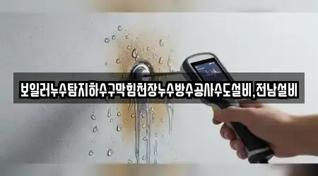 보일러누수탐지하수구막힘천장누수방수공사수도설비,전남설비