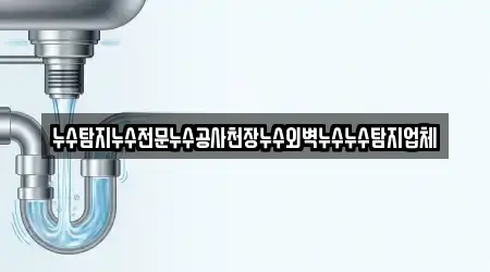 누수탐지누수전문누수공사천장누수외벽누수누수탐지업체