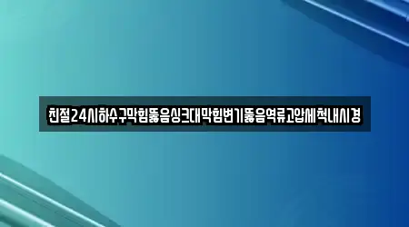 친절24시하수구막힘뚫음싱크대막힘변기뚫음역류고압세척내시경