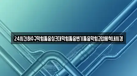 24시간하수구막힘뚫음싱크대막힘뚫음변기뚫음막힘고압세척내시경